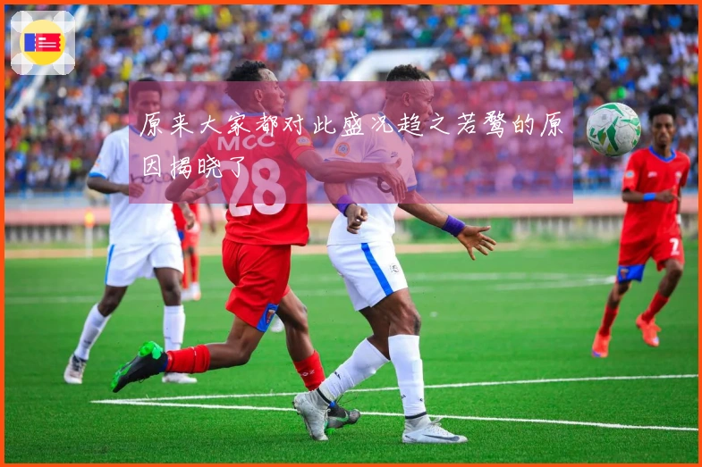 原来大家都对此盛况趋之若鹜的原因揭晓了